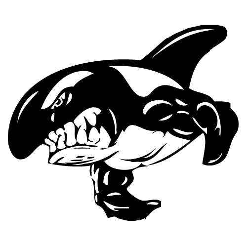 killer whales